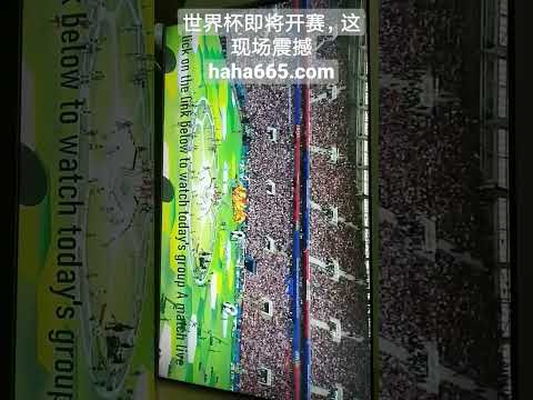 尤文有意放,走球员,拜仁与切尔,开云登录入口,开云平台,开云注册网址,开云app,开云官网,开云网站,开云网页版